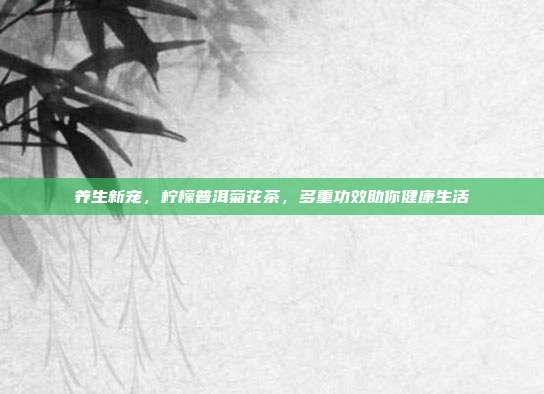 养生新宠，柠檬普洱菊花茶，多重功效助你健康生活