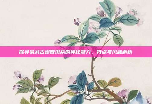 探寻易武古树普洱茶的神秘魅力，特点与风味解析