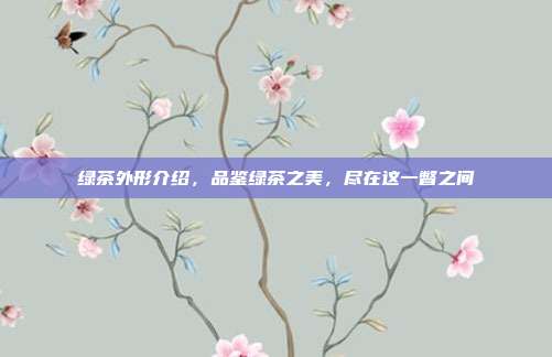 绿茶外形介绍，品鉴绿茶之美，尽在这一瞥之间