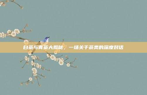 白茶与青茶大揭秘，一场关于茶类的深度对话