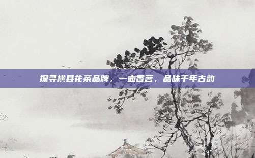 探寻横县花茶品牌，一壶香茗，品味千年古韵