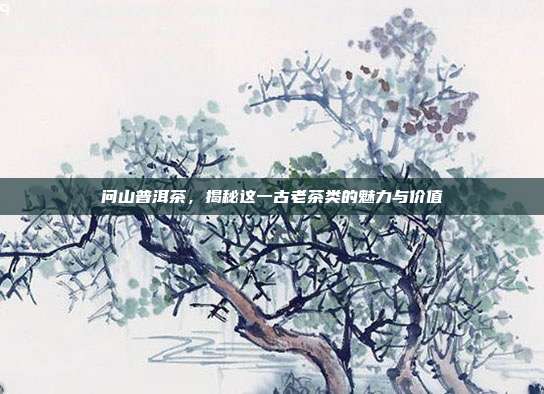 问山普洱茶，揭秘这一古老茶类的魅力与价值