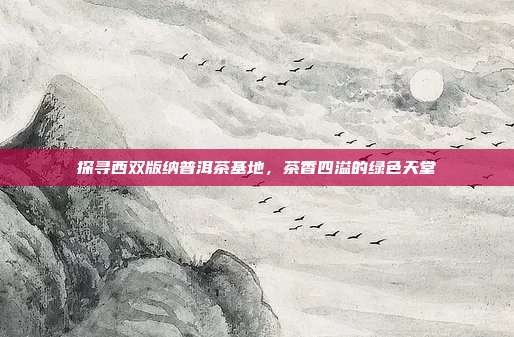 探寻西双版纳普洱茶基地，茶香四溢的绿色天堂
