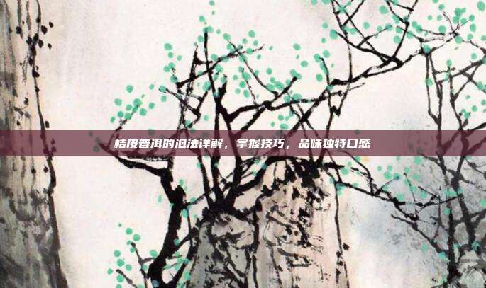桔皮普洱的泡法详解，掌握技巧，品味独特口感