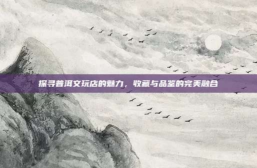 探寻普洱文玩店的魅力，收藏与品鉴的完美融合