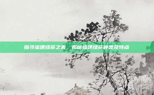 探寻福建绿茶之美，揭秘福建绿茶种类及特点