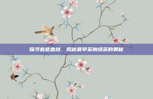 探寻春意盎然，揭秘最早采摘绿茶的奥秘