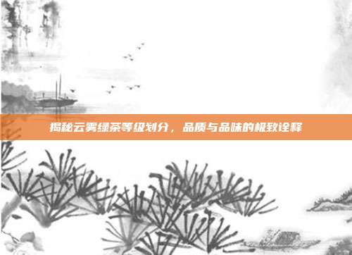 揭秘云雾绿茶等级划分，品质与品味的极致诠释