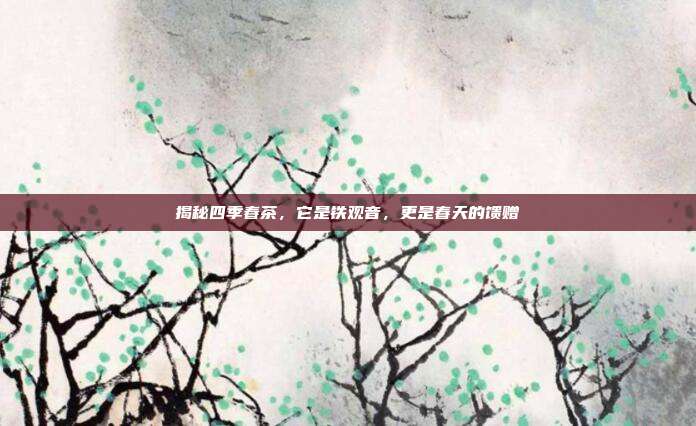 揭秘四季春茶，它是铁观音，更是春天的馈赠