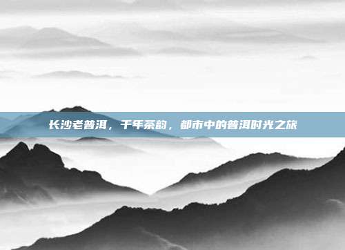 长沙老普洱，千年茶韵，都市中的普洱时光之旅