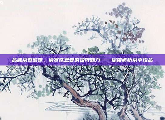品味茶香韵味，清赏铁观音的独特魅力——深度解析茶中珍品