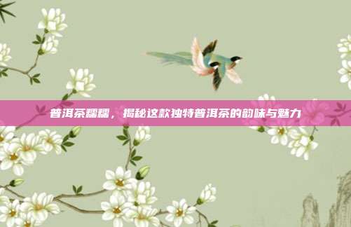 普洱茶糯糯，揭秘这款独特普洱茶的韵味与魅力