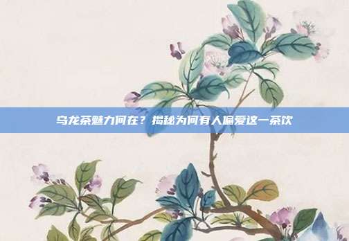 乌龙茶魅力何在？揭秘为何有人偏爱这一茶饮