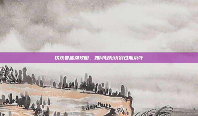 铁观音鉴别攻略，如何轻松识别过期茶叶