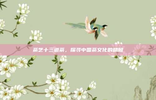 茶艺十三道茶，探寻中国茶文化的精髓