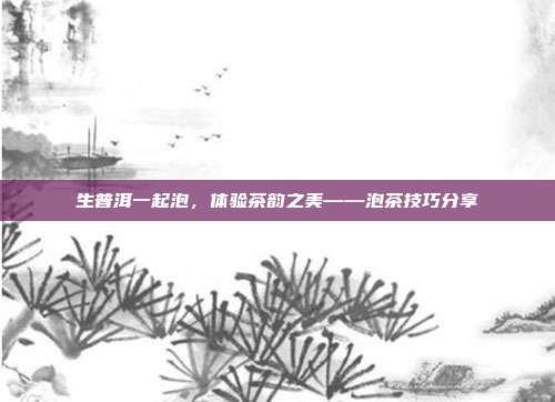 生普洱一起泡，体验茶韵之美——泡茶技巧分享