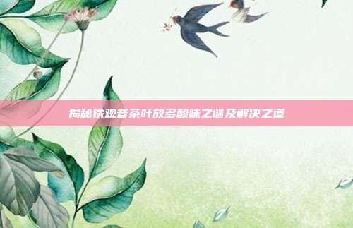 揭秘铁观音茶叶放多酸味之谜及解决之道