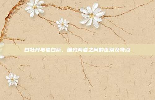 白牡丹与老白茶，细究两者之间的区别及特点