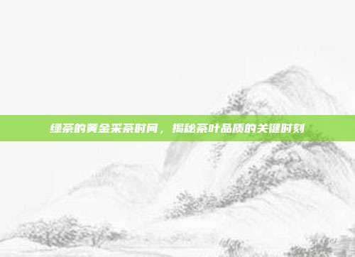绿茶的黄金采茶时间，揭秘茶叶品质的关键时刻