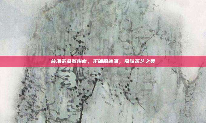 普洱茶品鉴指南，正确喝普洱，品味茶艺之美