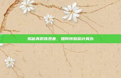 揭秘真假铁观音，如何辨别茶叶真伪