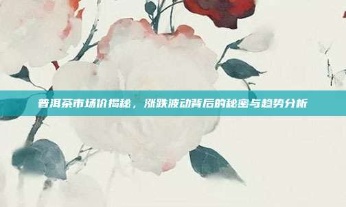 普洱茶市场价揭秘，涨跌波动背后的秘密与趋势分析