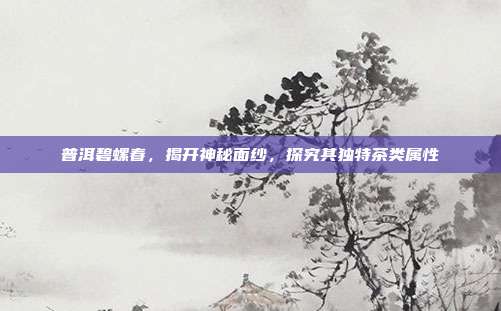 普洱碧螺春，揭开神秘面纱，探究其独特茶类属性