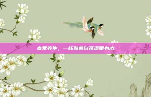 春季养生，一杯熟普尔茶温暖身心