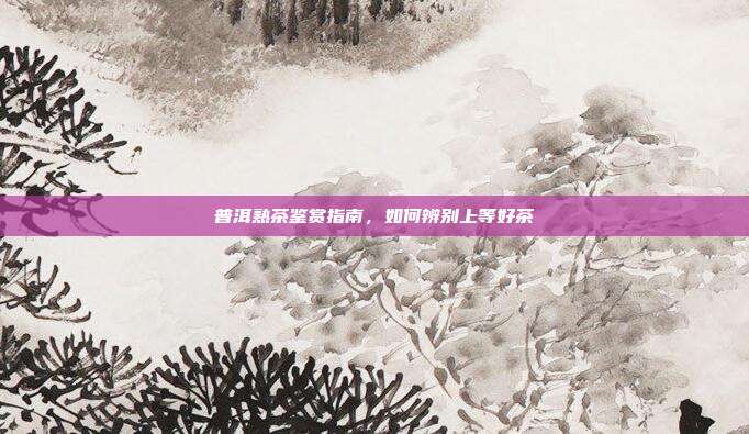 普洱熟茶鉴赏指南，如何辨别上等好茶