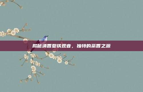 揭秘清香型铁观音，独特的茶香之源