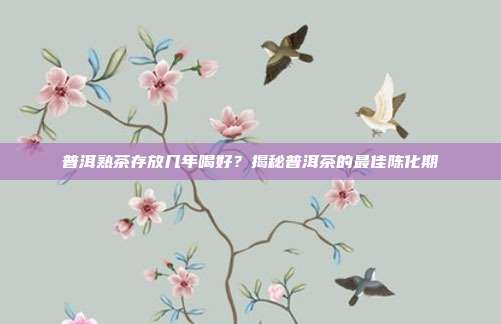 普洱熟茶存放几年喝好？揭秘普洱茶的最佳陈化期