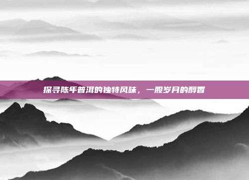探寻陈年普洱的独特风味，一股岁月的醇香