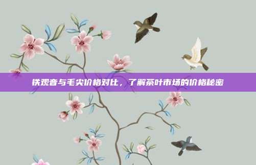 铁观音与毛尖价格对比，了解茶叶市场的价格秘密