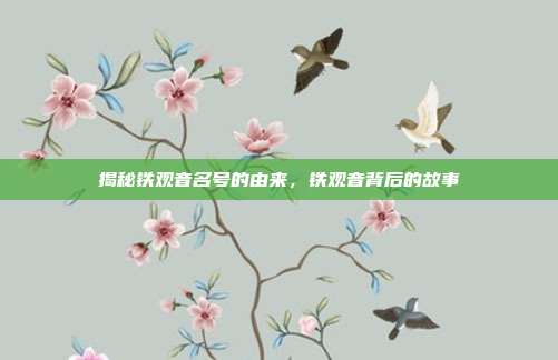 揭秘铁观音名号的由来，铁观音背后的故事