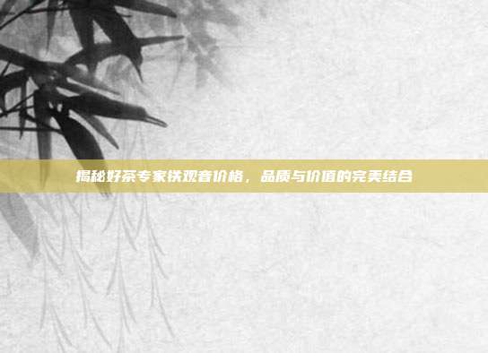 揭秘好茶专家铁观音价格，品质与价值的完美结合