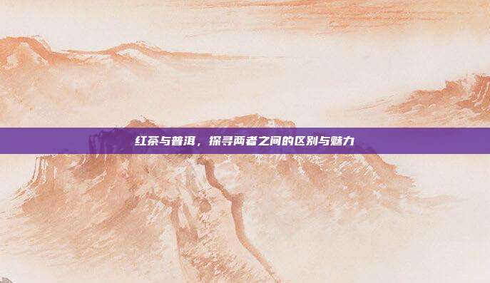 红茶与普洱，探寻两者之间的区别与魅力