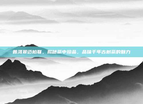 普洱景迈柏联，揭秘茶中珍品，品味千年古树茶的魅力