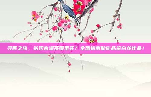 寻香之旅，铁观音湿茶哪里买？全面指南助你品鉴乌龙佳品！