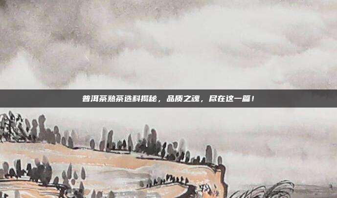 普洱茶熟茶选料揭秘，品质之魂，尽在这一篇！