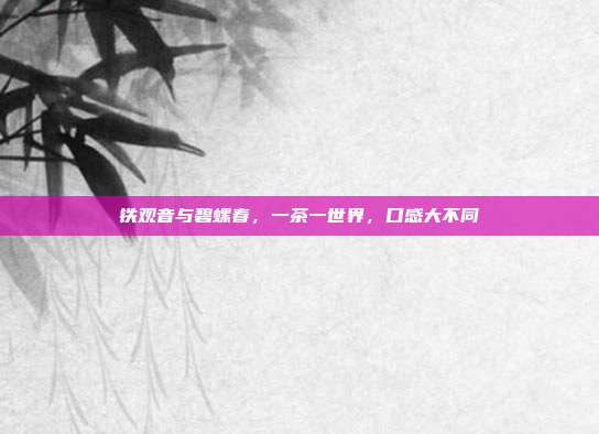 铁观音与碧螺春，一茶一世界，口感大不同