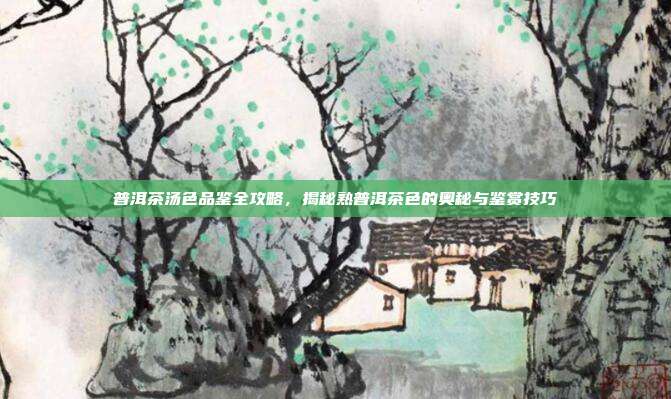 普洱茶汤色品鉴全攻略，揭秘熟普洱茶色的奥秘与鉴赏技巧