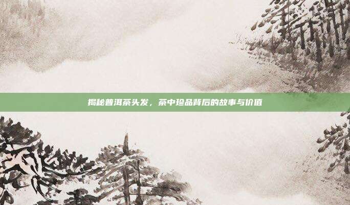 揭秘普洱茶头发，茶中珍品背后的故事与价值