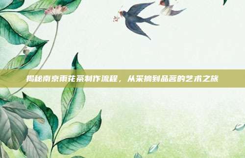 揭秘南京雨花茶制作流程，从采摘到品茗的艺术之旅
