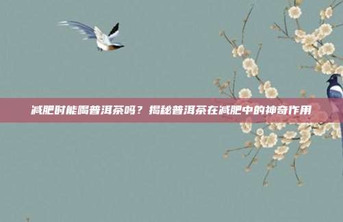 减肥时能喝普洱茶吗？揭秘普洱茶在减肥中的神奇作用
