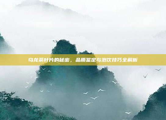 乌龙茶叶片的秘密，品质鉴定与泡饮技巧全解析