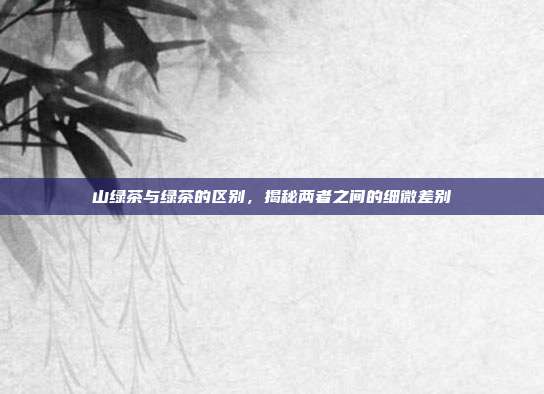 山绿茶与绿茶的区别，揭秘两者之间的细微差别