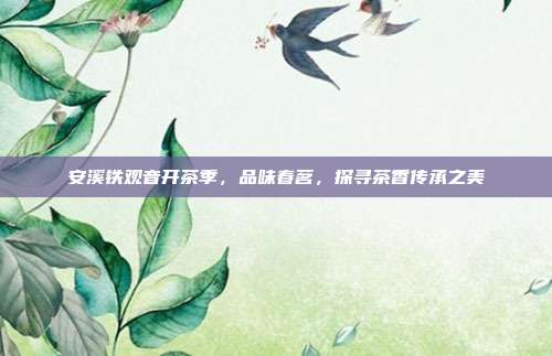 安溪铁观音开茶季，品味春茗，探寻茶香传承之美