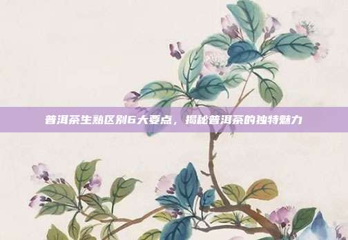 普洱茶生熟区别6大要点，揭秘普洱茶的独特魅力