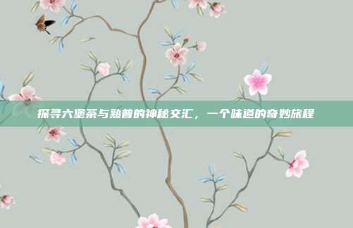 探寻六堡茶与熟普的神秘交汇，一个味道的奇妙旅程