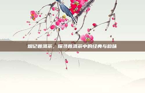 烟记普洱茶，探寻普洱茶中的经典与韵味